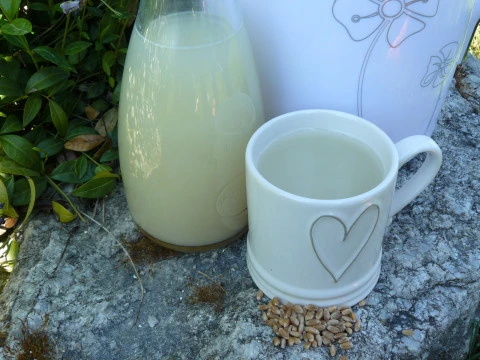 Pšeničné rastlinné mlieko