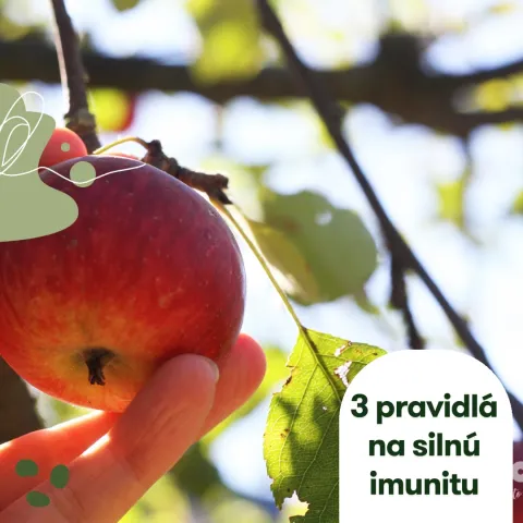Ako posilniť imunitu na jeseň? Tu sú tri základné pravidlá!