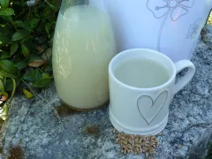 Pšeničné rastlinné mlieko