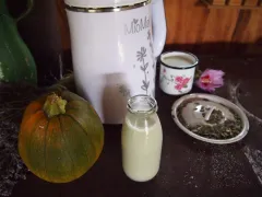 Rastlinné mlieko z tekvicových semienok RAW