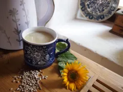 Rastlinné mlieko zo slnečnicových semienok RAW