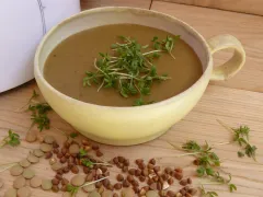 Pohánkovo-šošovicová kaša