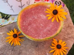 Melón-slivky-černice smoothie