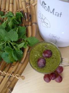 Žihľava smoothie