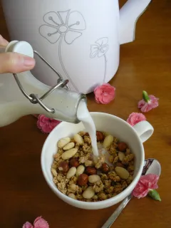 Domáce müsli s makovým mliekom